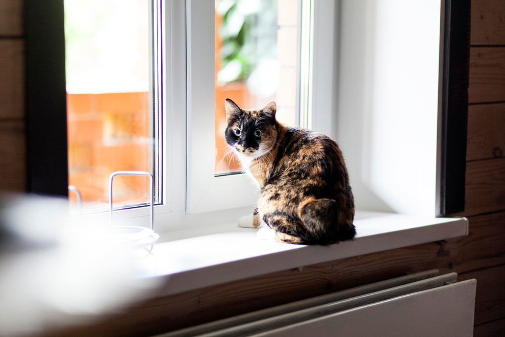 Летний домик в деревне с семейной историей.