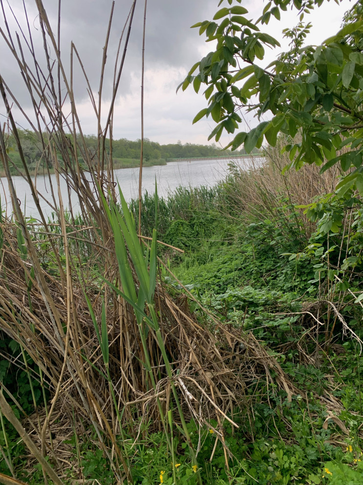 Баса отдыха. Кумжинской роща, берег Дона