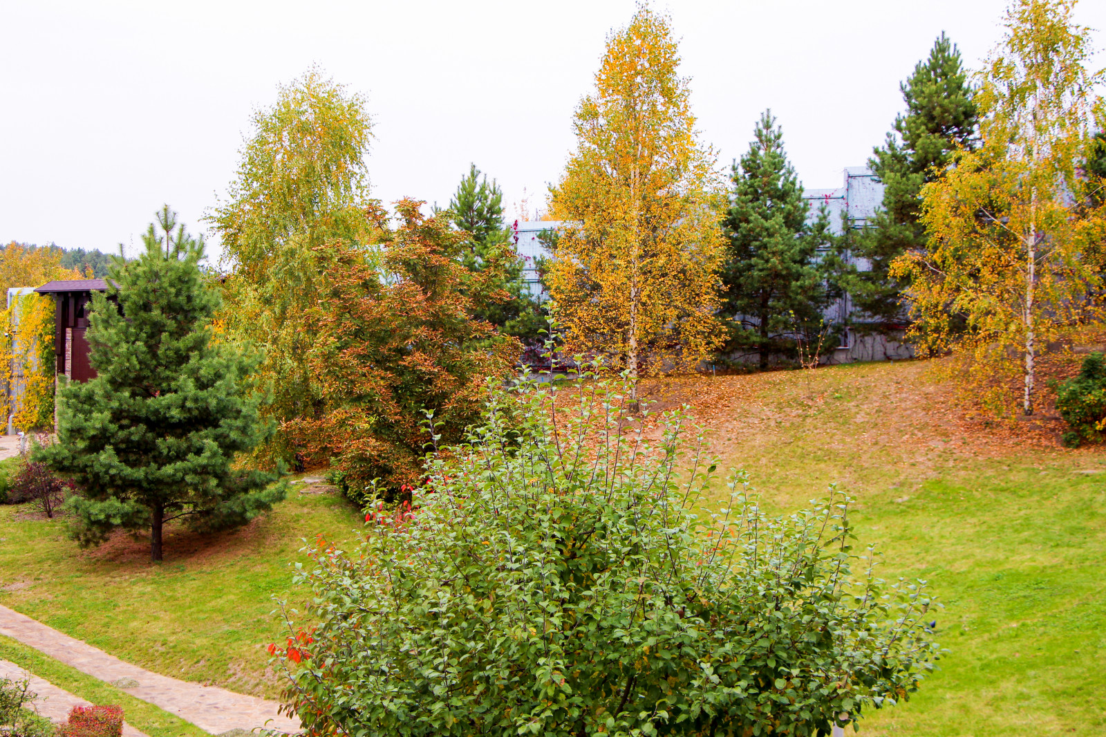 Лобаново, 2012-2021 гг.