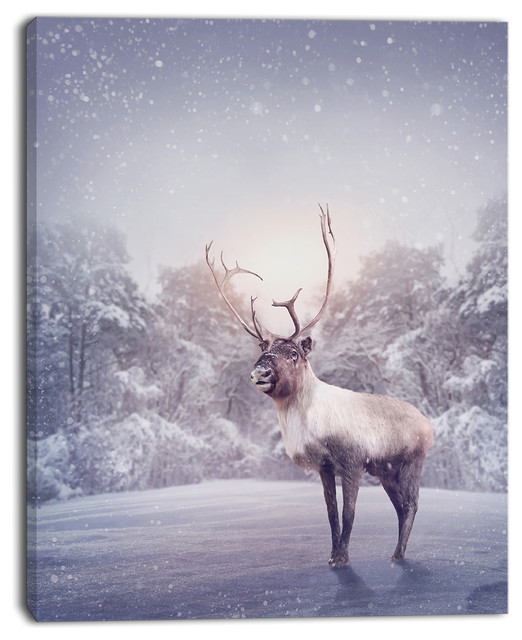 Huge Reindeer Standing in Snow, Animal Canvas Art Print, 30