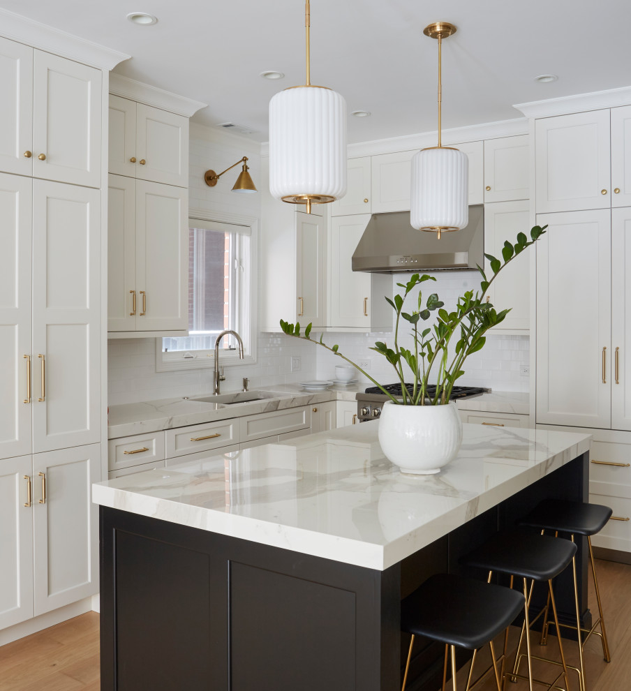 Inspiration for a transitional kitchen remodel in Chicago