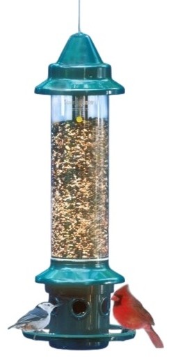 Brome Squirrel Buster Plus Squirrel Proof 1024 Bird Feeder