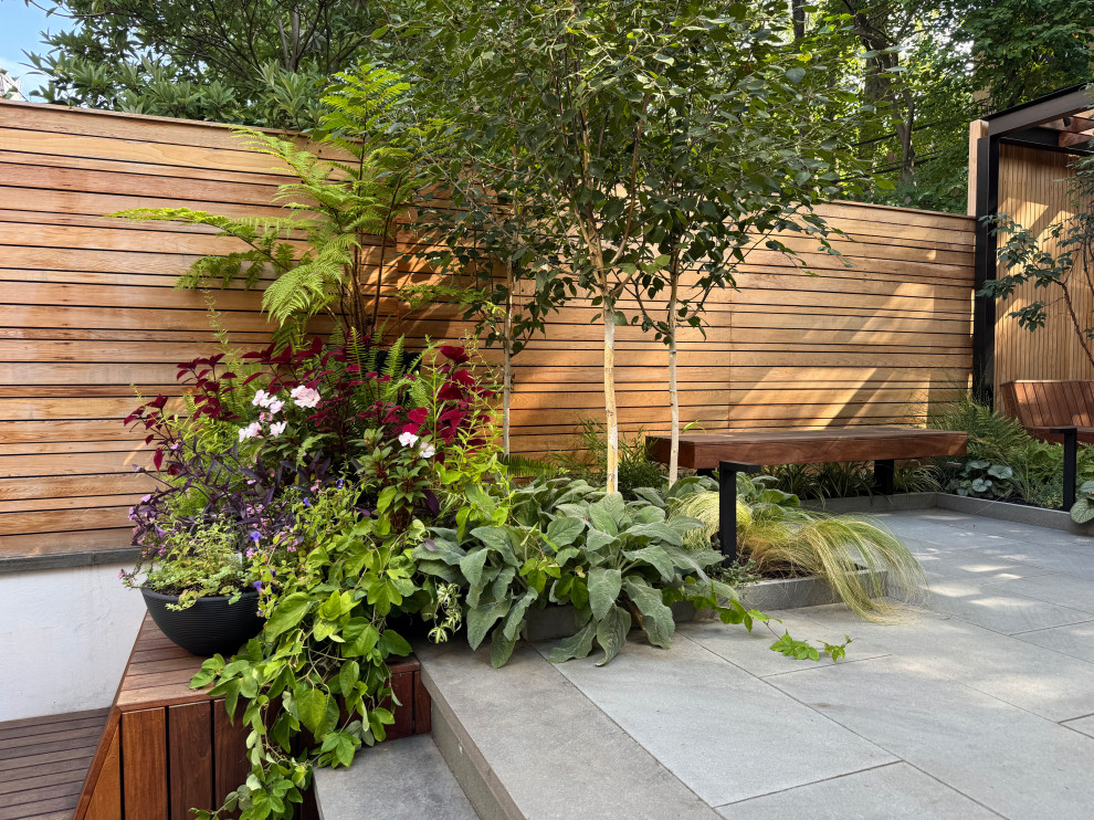 Carroll Gardens Modern