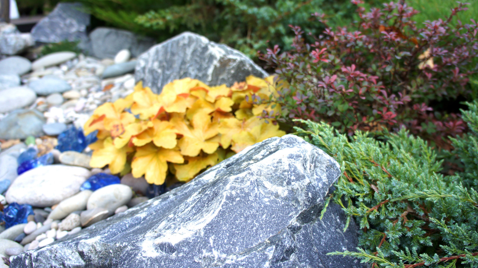 Цветники и композиции крупным планом