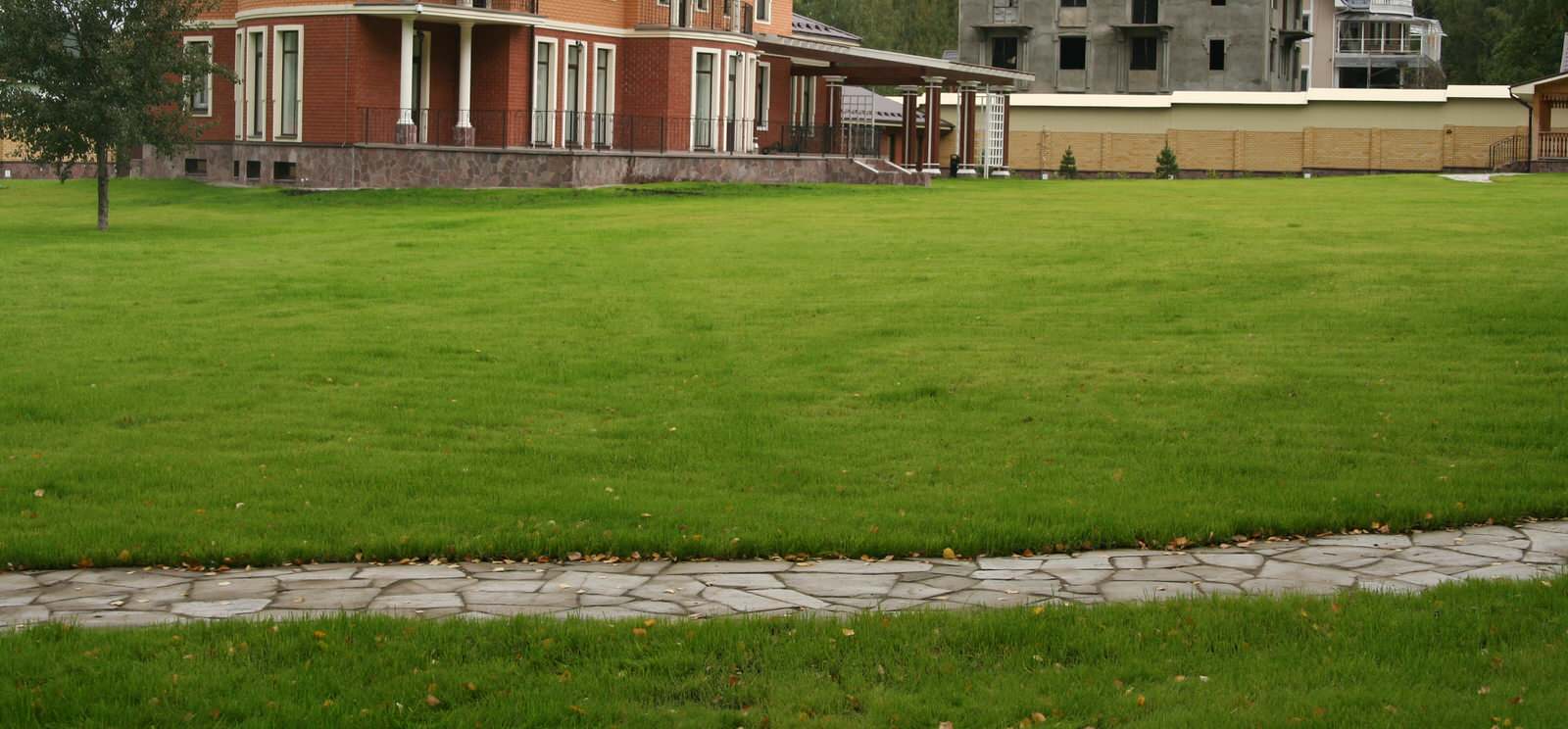 Газон и дорожка