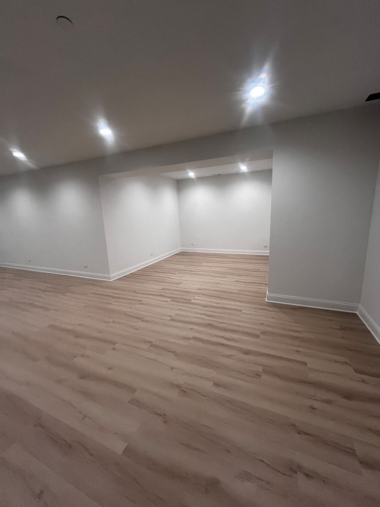 Basement Remodel