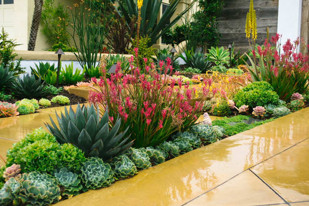 Design ideas for a contemporary xeriscape in Orange County with a garden path.