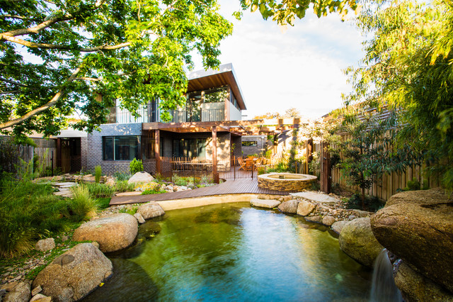 Natural Pools pool