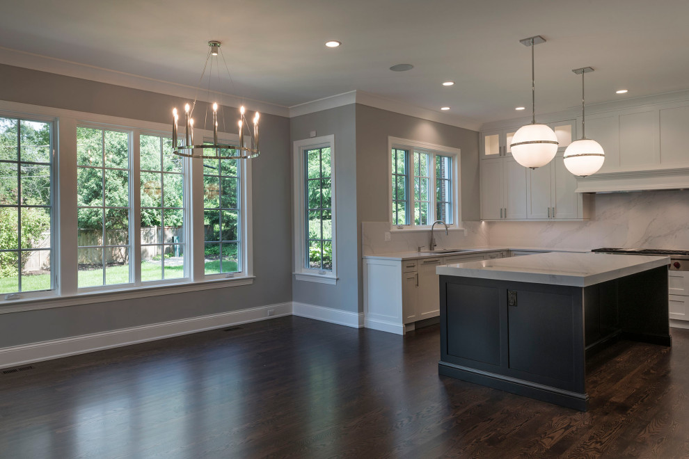 Transitional home design photo in Chicago