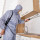 Cement Capital Termite Removal Experts