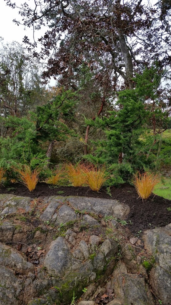 Photo of a mid-sized rustic drought-tolerant and full sun backyard landscaping.