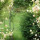 bursar_hpb