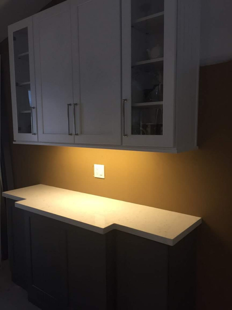 Transitional home design photo in Miami