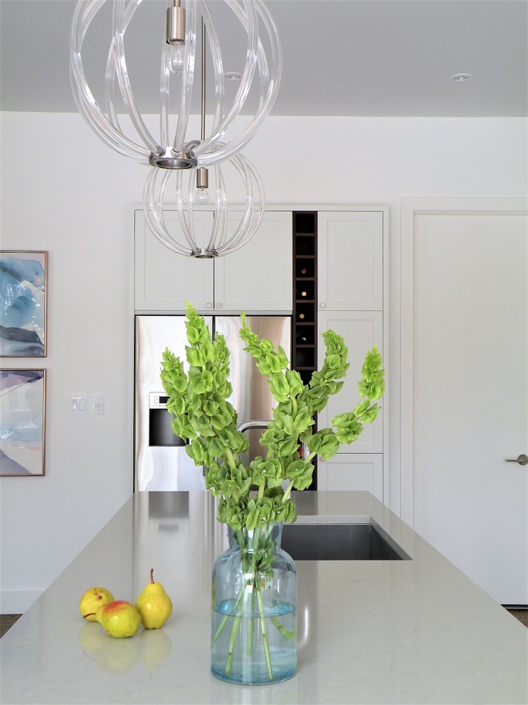 Example of a large transitional galley dark wood floor open concept kitchen design in Ottawa with an undermount sink, shaker cabinets, white cabinets, quartzite countertops, mosaic tile backsplash, stainless steel appliances and an island