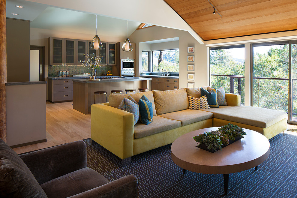 This is an example of a contemporary living room in San Francisco.