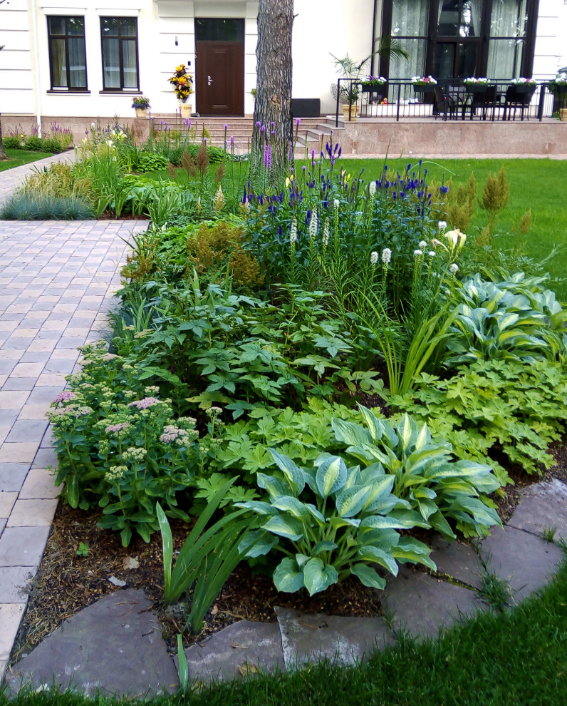 Цветники под пологом леса