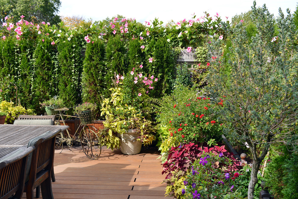 Inspiration for a rustic deck remodel in Boston