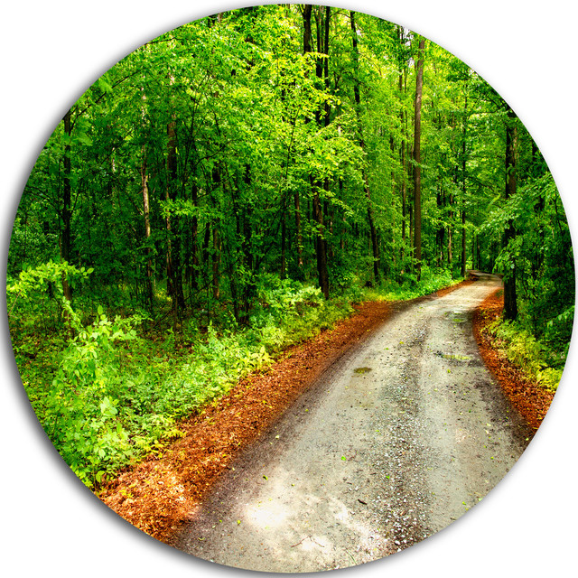 Pathway in Deep Moss Forest, Landscape Round Metal Wall ...