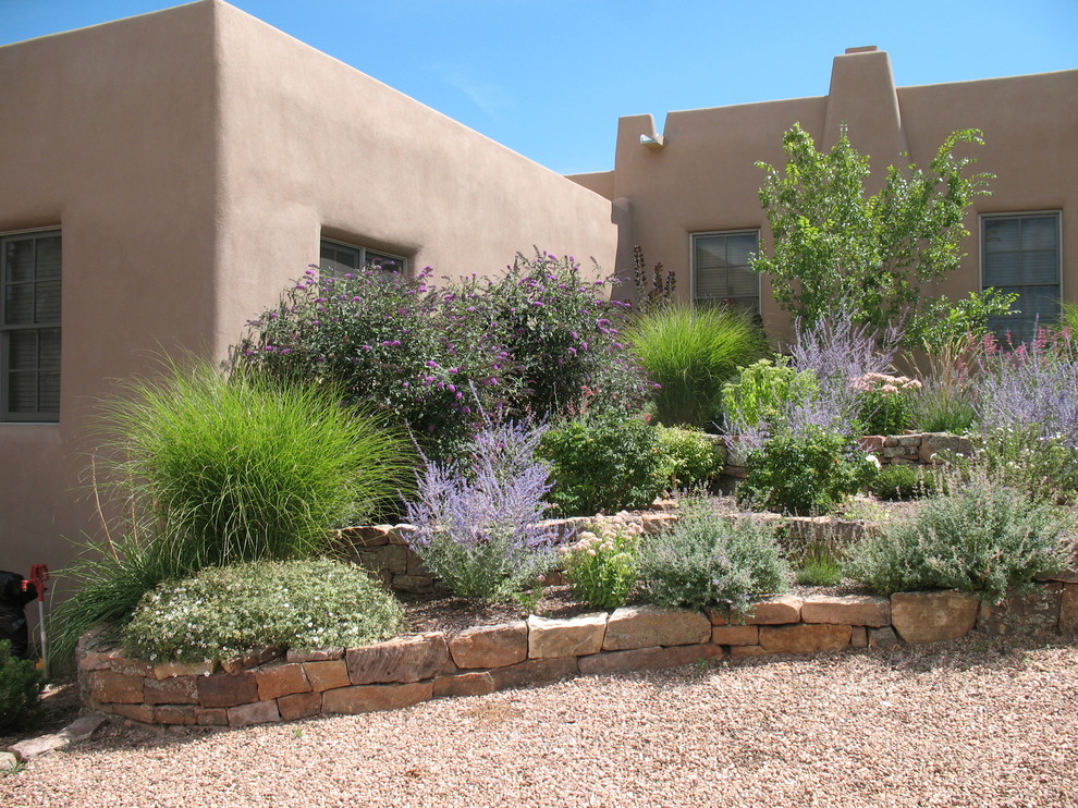Traditional garden in Albuquerque.