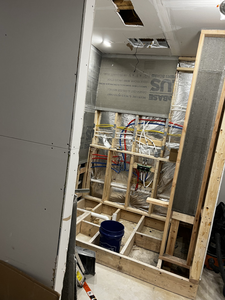 Basement Remodel