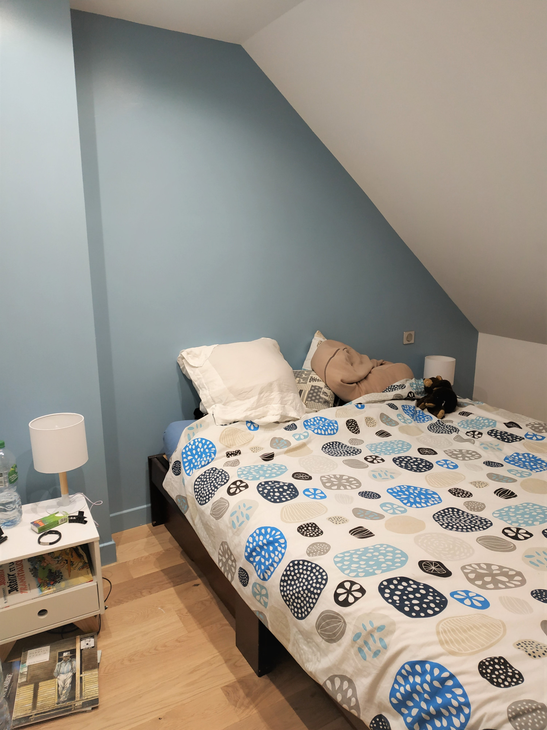 Projet suite parentale