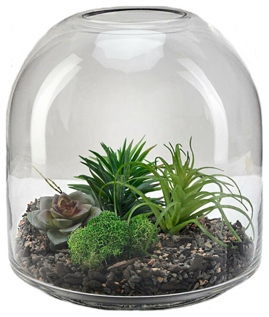 Serene Spaces Living Clear DomeShaped Glass Terrarium Vase, Small
