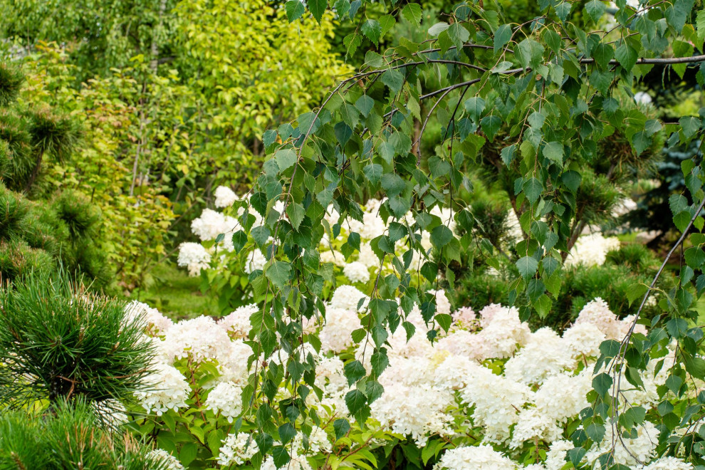 Легенды Крыма