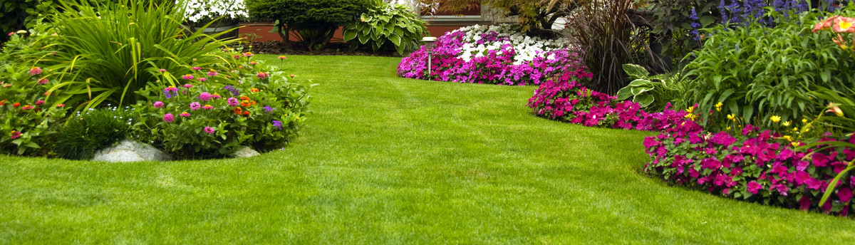 Affordable Lawn Care Clarksville Tn Us