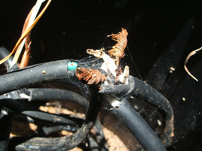 How To Splice Low Voltage Landscape Lighting Wire Shelly Lighting