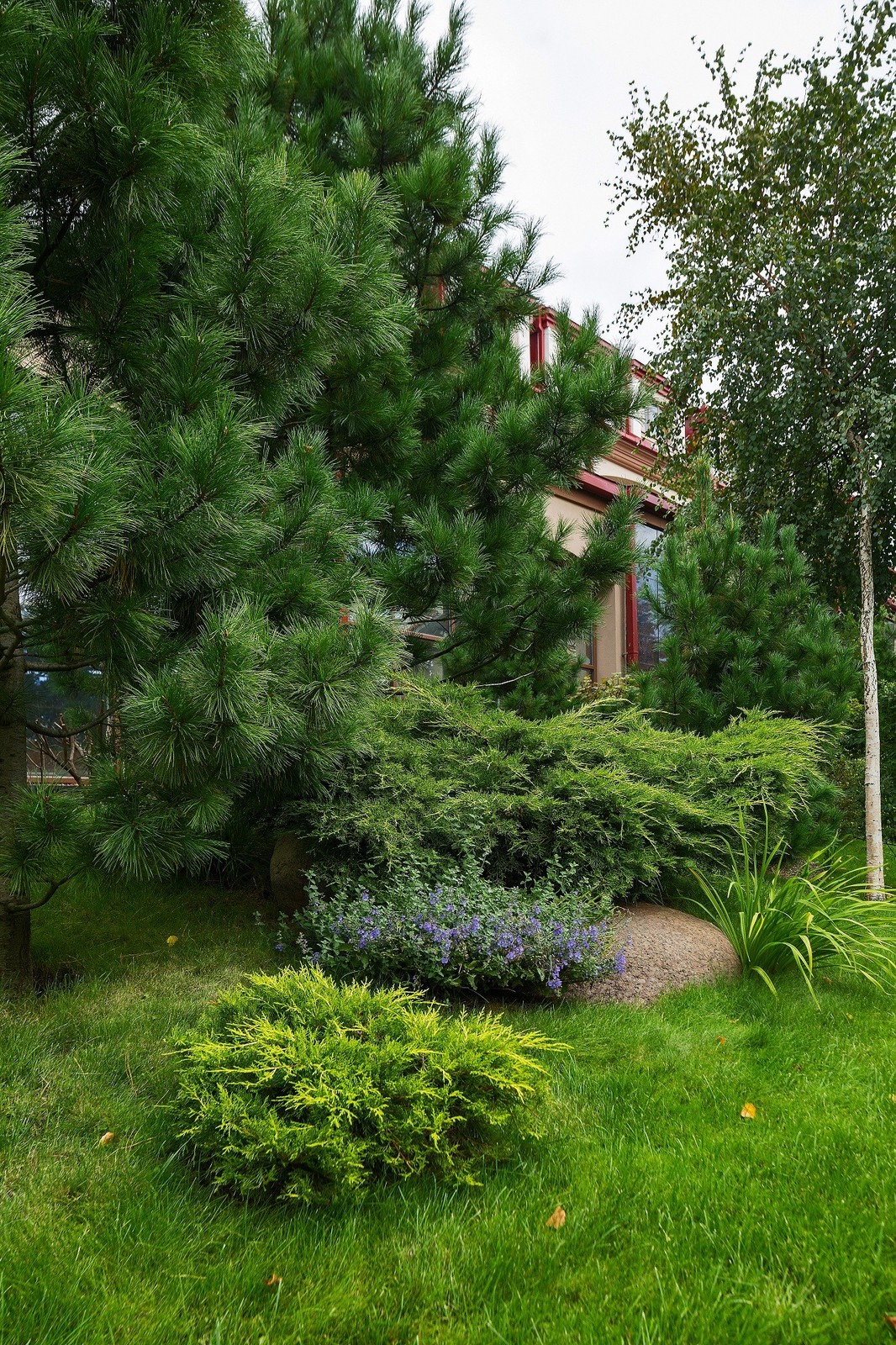 Озеленение жилого комплекса