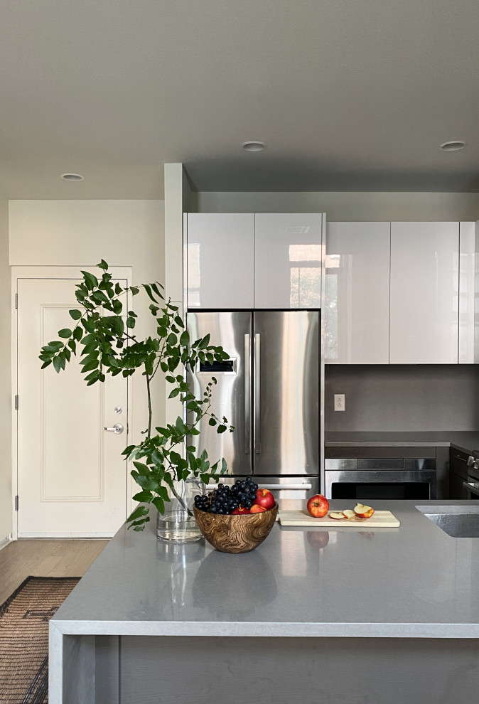 Medium sized modern kitchen in New York with light hardwood flooring and brown floors.