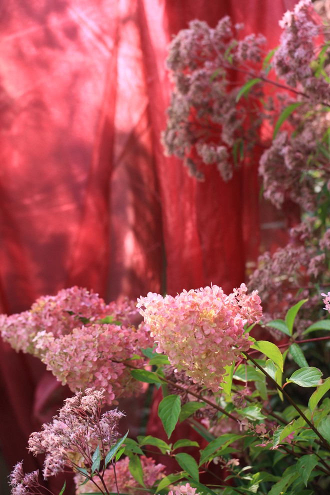 Проект "Преображение". Авторский сад