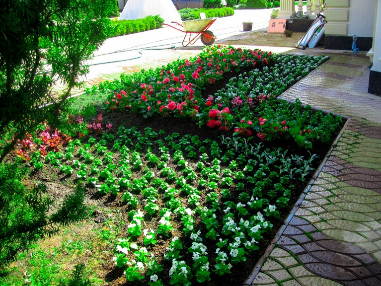 Создание клумб и цветников