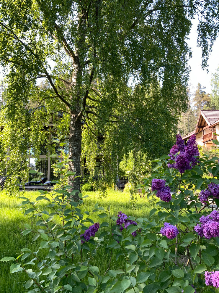 Foto på en stor nordisk trädgård