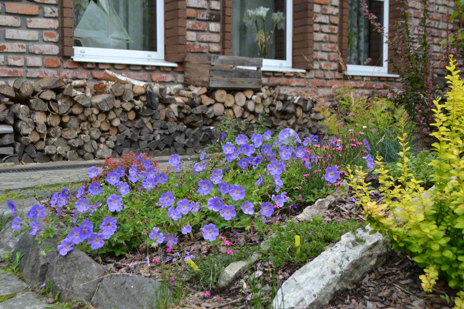 Озеленение альпийской горки