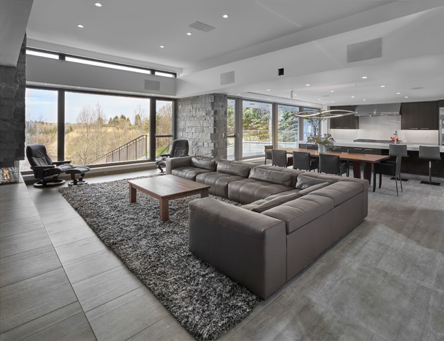 Skyline contemporary-family-room