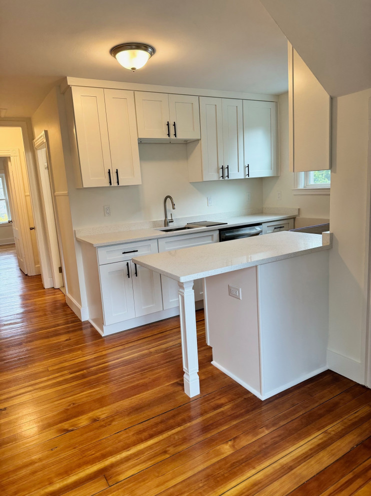 Two Family renovation