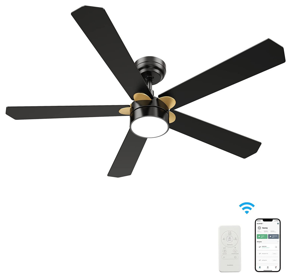CARRO Ceiling Fan Downrod With Dim Led Light and Remote, Black and Gold
