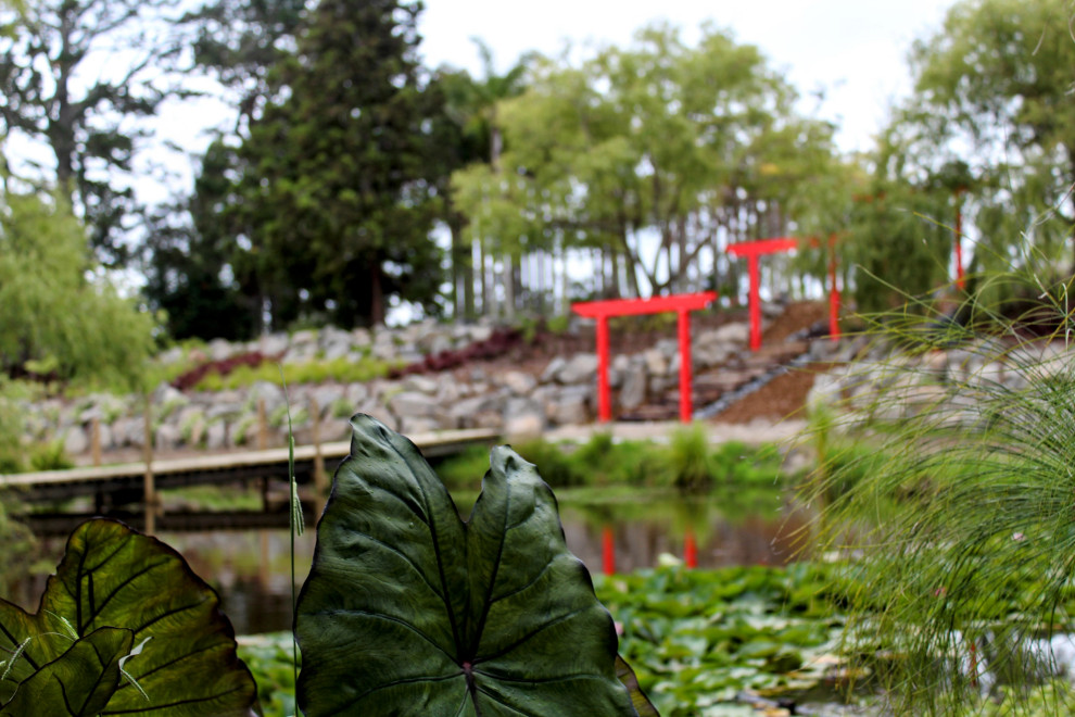Photo of a huge asian full sun hillside mulch and wood fence pond in Auckland for spring.