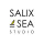 Salix Sea Studio PLLC