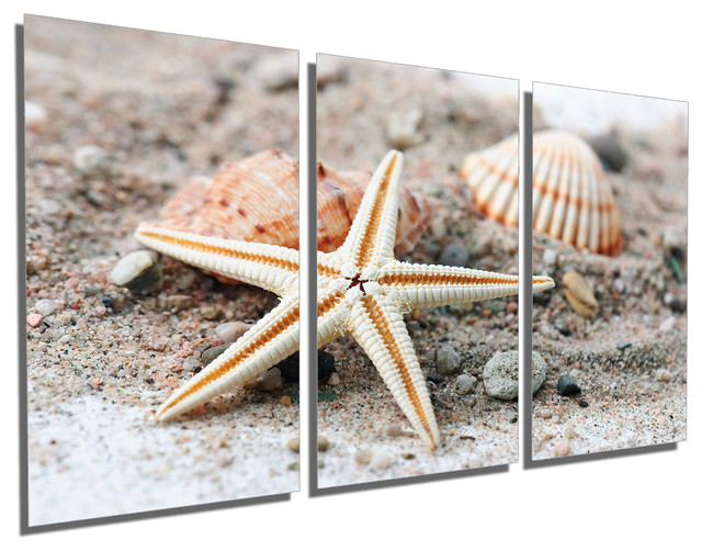 Starfish And Seashell Metal Print Wall Art 3 Panel Split Triptych Starfish And Seashell Metal Print Wall Art 3 Panel Split Triptych 48x24