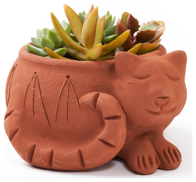 Rakshana Chicken Plant Pot - Terracotta main image 1