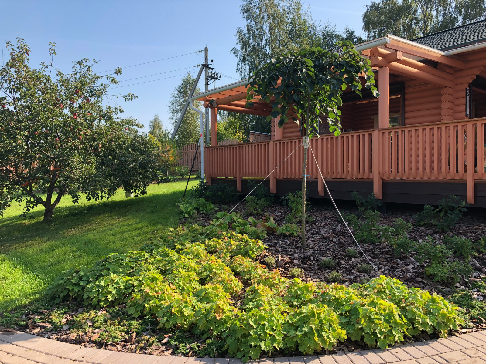 Якшино. Осень 2019