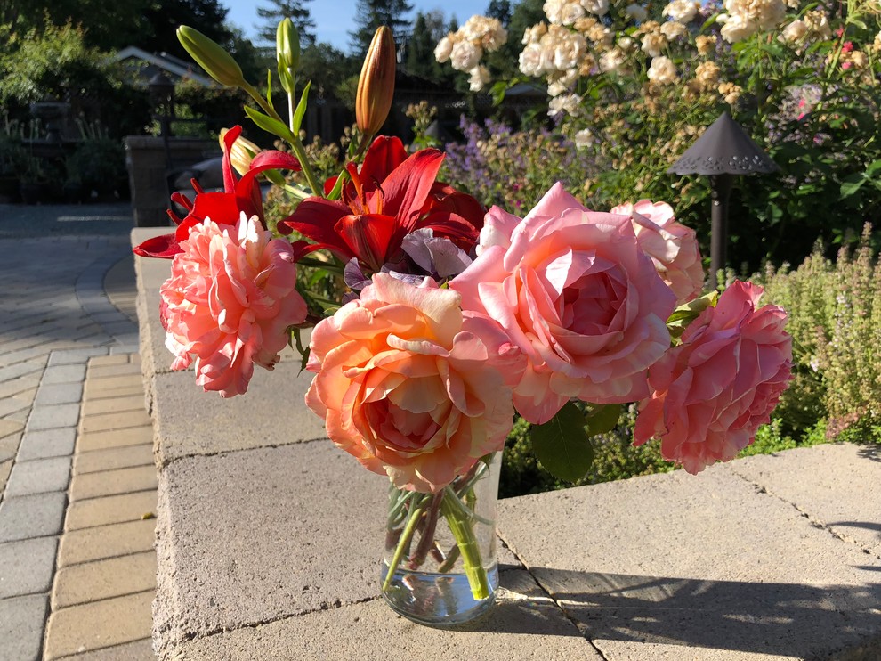 Peach Swirl rose, Night Rider lily and Nimbus sweetpeas
