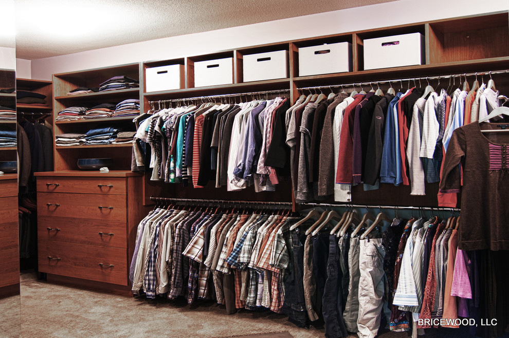 Closet - transitional closet idea