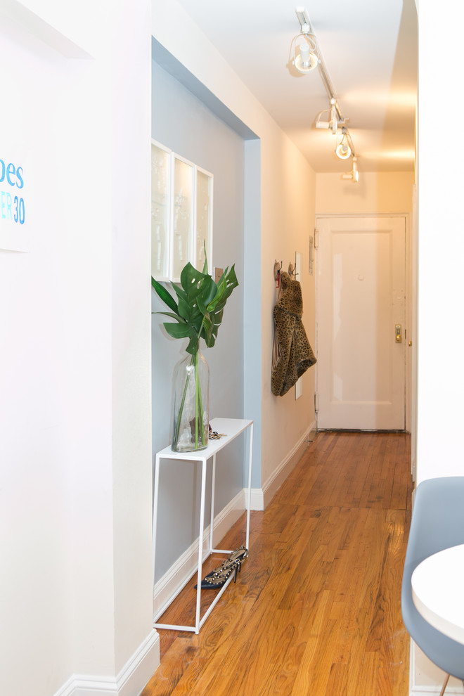 This is an example of a traditional entryway in New York with blue walls, medium hardwood floors, a single front door and a white front door.