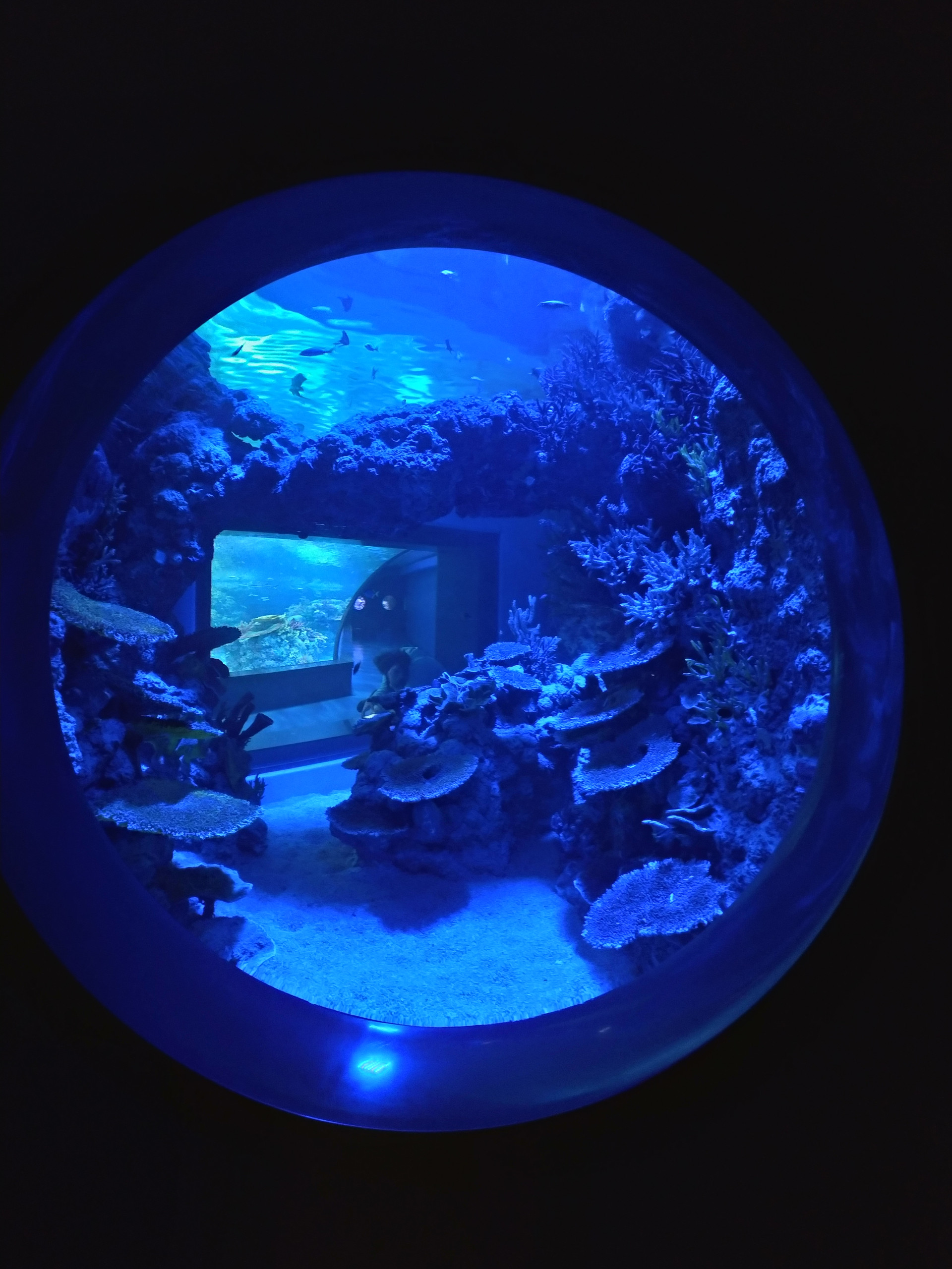 Goldenhall Aquarium - Athens, Greece