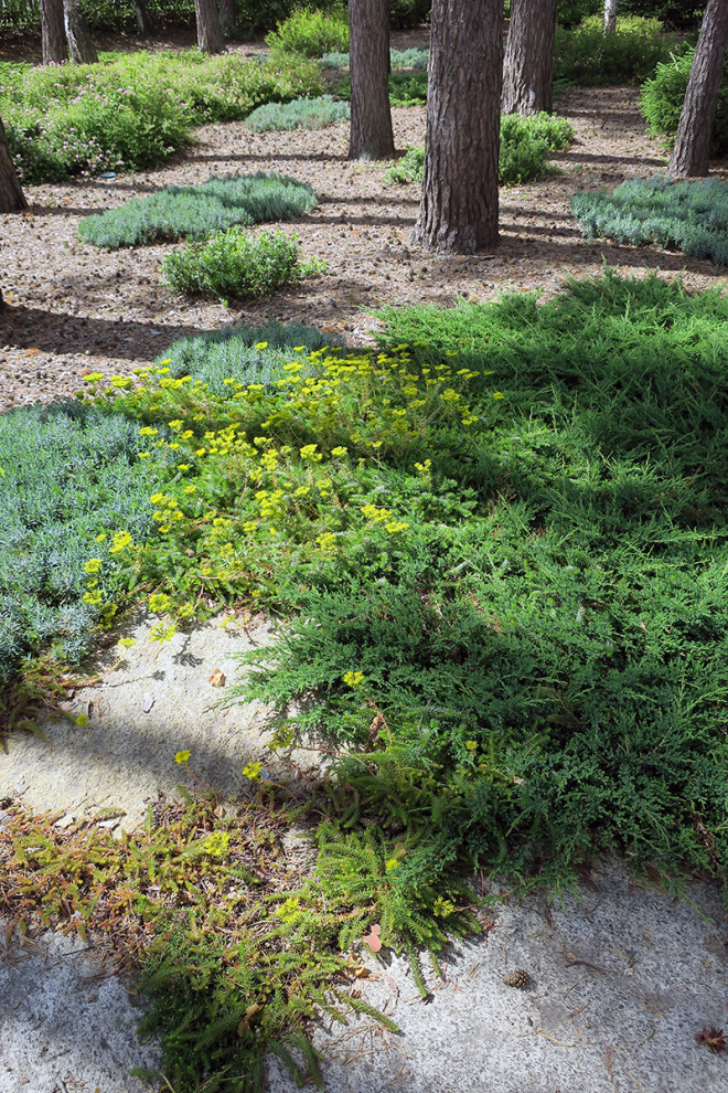 Не нужно бояться темноты