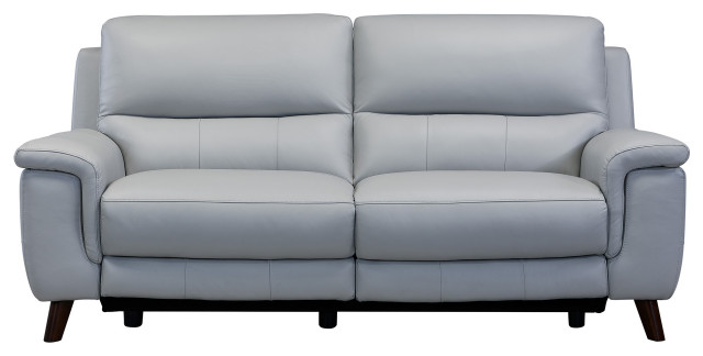 Lizette Contemporary Sofa, Dark Brown Wood Finish & Dove Gray Genuine Leather
