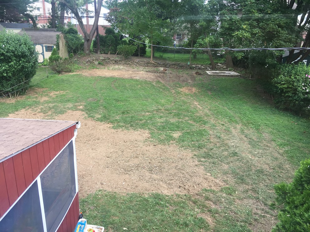 What should I do after tree removal & stump grinding?